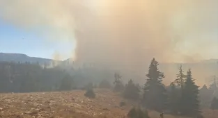 GÜNCELLEME - Karaman'da ormanlık alanda çıkan yangınlara müdahale sürüyor