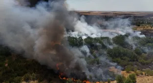 GÜNCELLEME - Kırklareli'nde ağaçlık alanda çıkan yangın söndürüldü