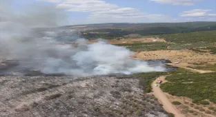 GÜNCELLEME - Kocaeli'de otluk alanda çıkan yangın söndürüldü