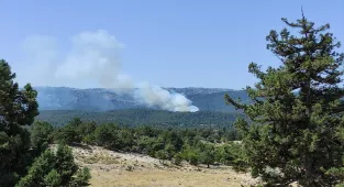 GÜNCELLEME - Mersin'de çıkan orman yangını kontrol altına alındı