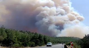 GÜNCELLEME - Mersin'de ormanlık alanda yangın çıktı