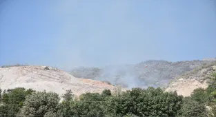 GÜNCELLEME - Şırnak'ta orman ve örtü yangını kontrol altına alındı