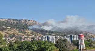 GÜNCELLEME - Tokat'ta ormanlık alanda çıkan yangın kontrol altına alındı
