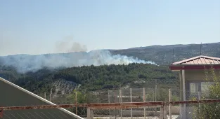 Hatay'da çıkan orman yangını kontrol altına alındı
