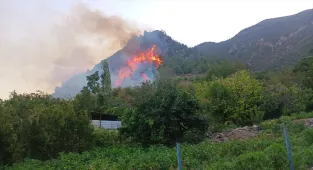 Hatay Kırıkhan'da orman yangını çıktı 