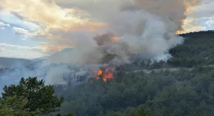 Karabük'te ormanlık alanda yeniden yangın çıktı