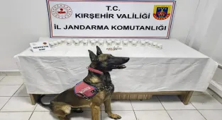 Kırşehir'deki uyuşturucu operasyonunda yakalanan 2 zanlı tutuklandı