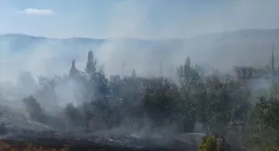 Konya'da arazide çıkan yangın söndürüldü