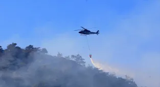 Manisa'nın Alaşehir ilçesindeki orman yangını kontrol altına alındı