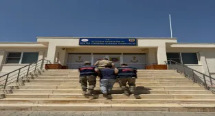 Mardin'de hayvanların kısırlaştırılmasına ilişkin uygunsuz paylaşımda bulunan şüpheli gözaltına alındı