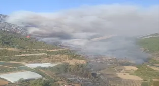 Mersin Valisi Toros, Silifke ve Anamur'daki orman yangınlarına ilişkin açıklama yaptı: