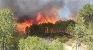 Uşak'taki orman yangını kontrol altına alındı