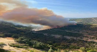 Balıkesir'de kaza yapan aracın neden olduğu orman yangınına müdahale ediliyor