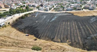 Bursa'da evlere yakın noktada çıkan anız yangını söndürüldü
