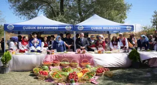 Çubuk Belediye Başkanı Demirbaş'tan festivale yönelik eleştirilere ilişkin açıklama