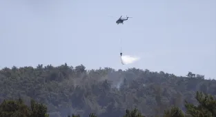 GÜNCELLEME 2 - Milas'ta çıkan orman yangını kontrol altına alındı