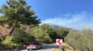 GÜNCELLEME - Aydın'da zeytinlik alanda çıkan yangın kontrol altına alındı