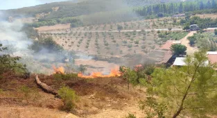 GÜNCELLEME - Balıkesir'de çıkan orman yangını kontrol altına alındı