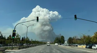 GÜNCELLEME - Bursa'da çıkan orman yangınına müdahale ediliyor