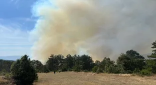 GÜNCELLEME - Bursa'da ormanlık alanda çıkan yangın kontrol altına alındı