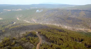GÜNCELLEME - Karabük'te ormanlık alanda çıkan yangına müdahale sürüyor