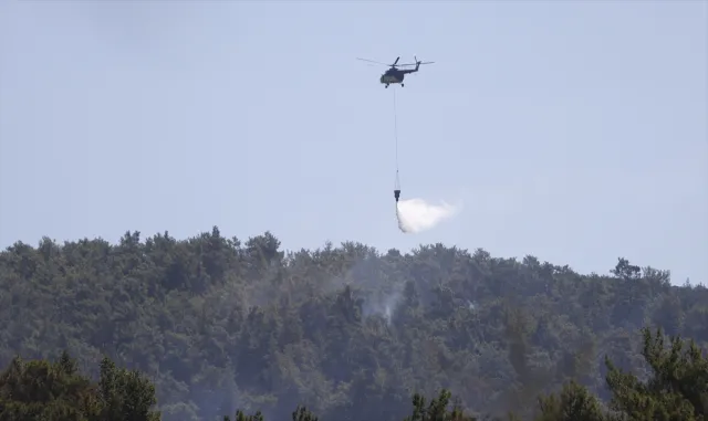 GÜNCELLEME - Milas'ta çıkan orman yangınına havadan ve karadan müdahale ediliyor