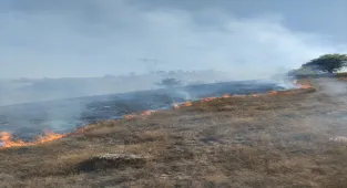 GÜNCELLEME - Tokat'ta makilik alanda çıkan yangın söndürüldü