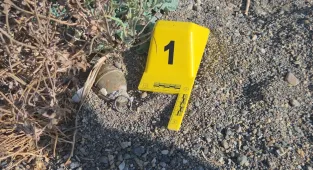 İznik Gölü sahilinde bulunan el bombası imha edildi