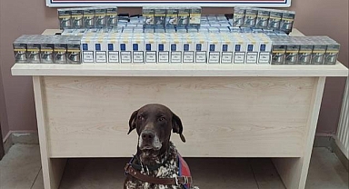 Kayseri'de Kaçakçılık Operasyonu