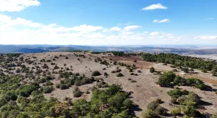 Akdağmadeni'nde Ak Çam Konaklamalı Orman Parkı projesinde çalışmalar başladı