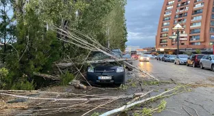 Eskişehir'de sağanakta ağaçtan kopan dallar, park halindeki aracın üzerine düştü