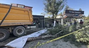 GÜNCELLEME - Malatya'da freni arızalanan kamyon 7 konteyner iş yerine çarptı