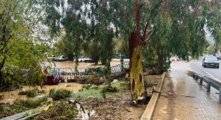 İzmir'in Foça ilçesinde sağanak hayatı olumsuz etkiledi 