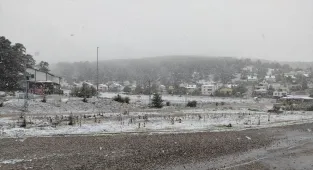 Sivas'ta çam ağaçlarıyla kaplı Eğriçimen Yaylası'na kar yağdı