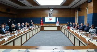 TBMM Dışişleri Komisyonu Başkanı Oktay, Finlandiyalı mevkidaşı Koskinen ile görüştü