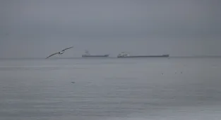 Tekirdağ'da deniz ulaşımı normale döndü