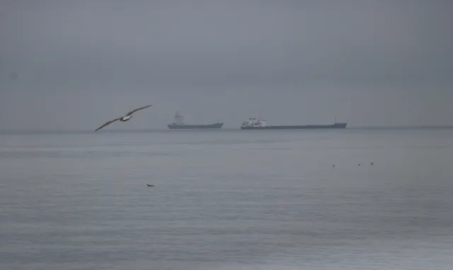 Tekirdağ'da deniz ulaşımı normale döndü
