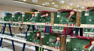 Ankara'da kanarya güzellik yarışması düzenlendi