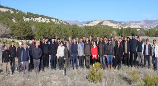 Beypazarı'nda hatıra ormanına fidan dikildi