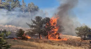 Erzurum'da 3 noktada çıkan orman yangınlarının 2'si kontrol altına alındı