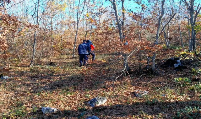 GÜNCELLEME 2 - Bursa'da mantar toplamak için gittiği ormanlık alanda kaybolan kişi bulundu