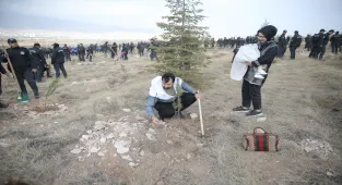 İç Anadolu'da fidanlar toprakla buluşturuldu