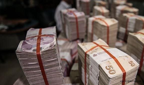 Kamu alacaklarında gecikme zammı ve tecil faiz oranları indirildi