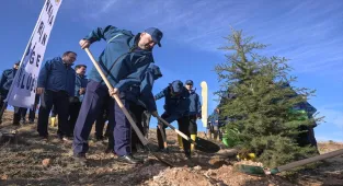 PTT AŞ 185. kuruluş yıl dönümünde 4 bin 185 fidanı toprakla buluşturdu