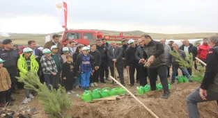 Zara'da Milli Ağaçlandırma Günü'nde fidanlar toprakla buluşturuldu