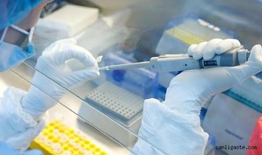 ABD'de Kovid-19 aşılarının yetişkinlerdeki ölümlerle bağlantılı olup olmadığı inceleniyor!