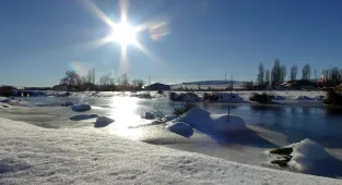 Ağrı'da tırın dorsesinde 2 bin 500 uyuşturucu hap ele geçirildi