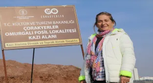 Çankırı'da zürafadan gergedana yüzlerce fosil bulunan alandan bu sezon 200 fosil çıkarıldı