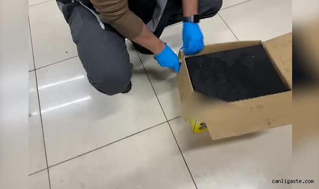 Kargo kolisinde çelik kasalara gizlenmiş 100 ruhsatsız tabanca ele geçirildi