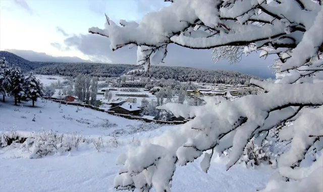Kars'ta şehir merkezi, Ardahan'da ise yüksek kesimler karla kaplandı